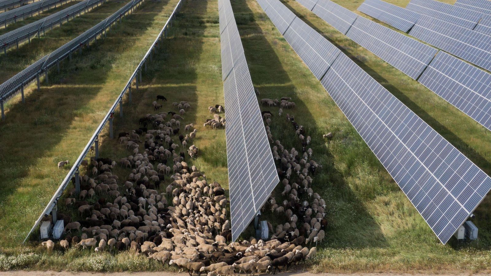 Una placa fotovoltaica del grup noruec Una plata fotovoltaica del grup noruec