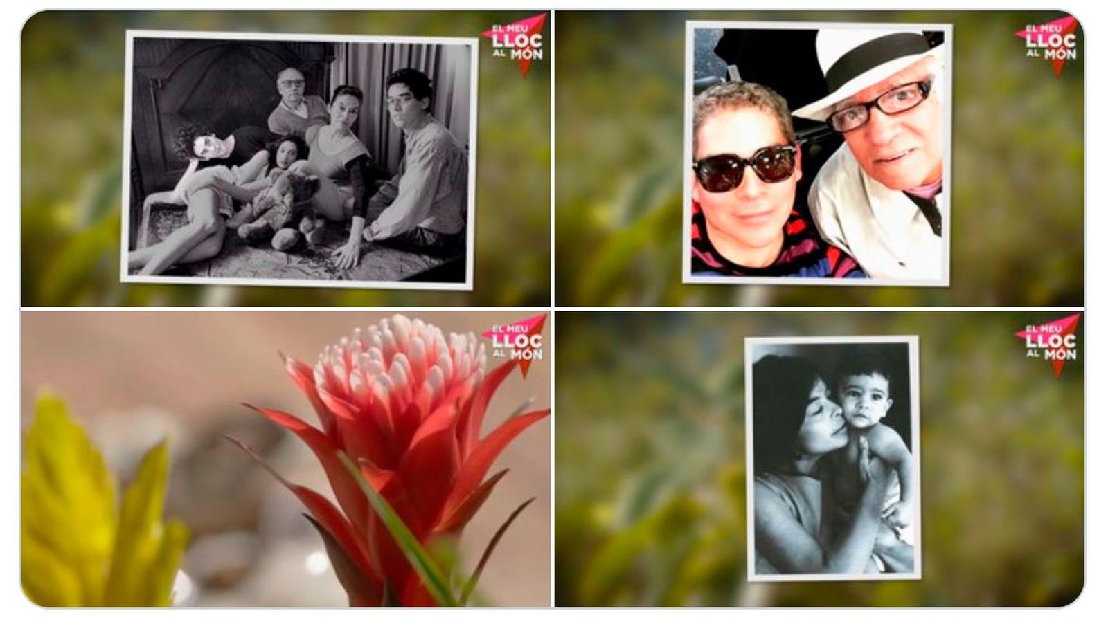 Des del Jardí dels Sentits d'Altea, Boris Izaguirre recorda la seua família