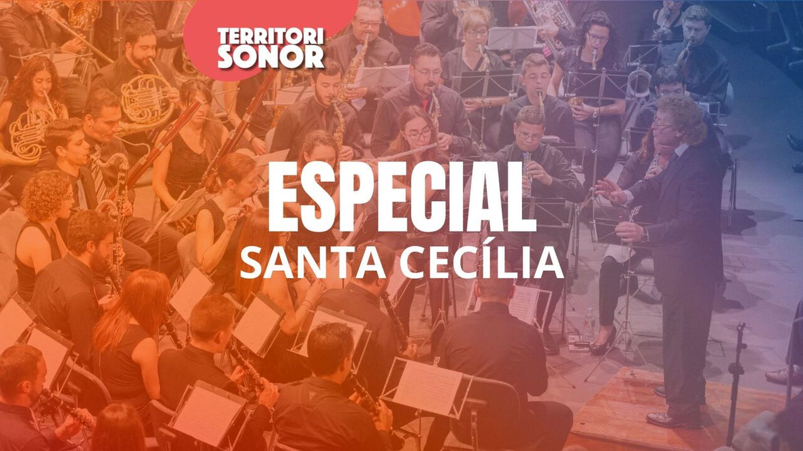 22.11.2024 | Especial Santa Cecília
