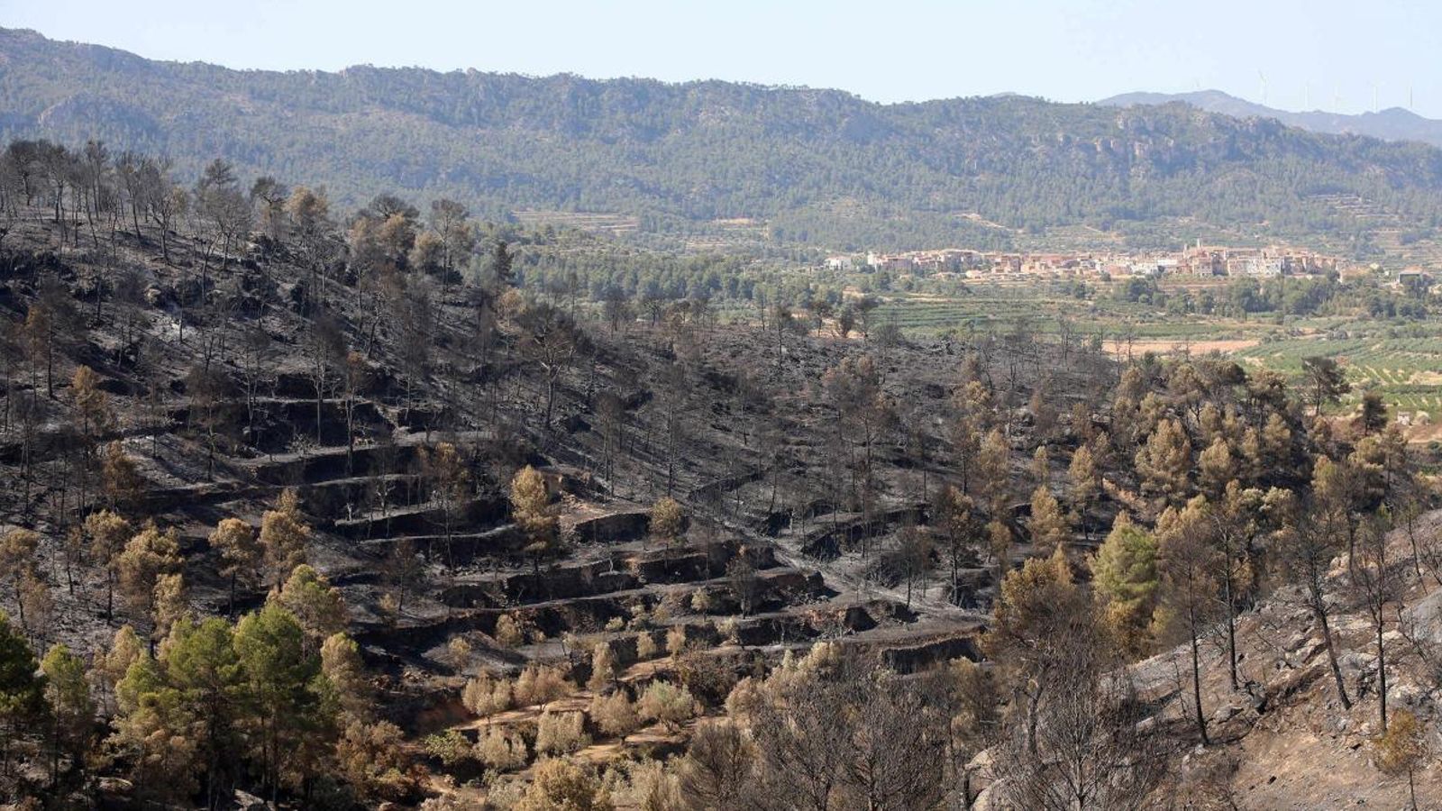 Una de les zones afectades pel foc