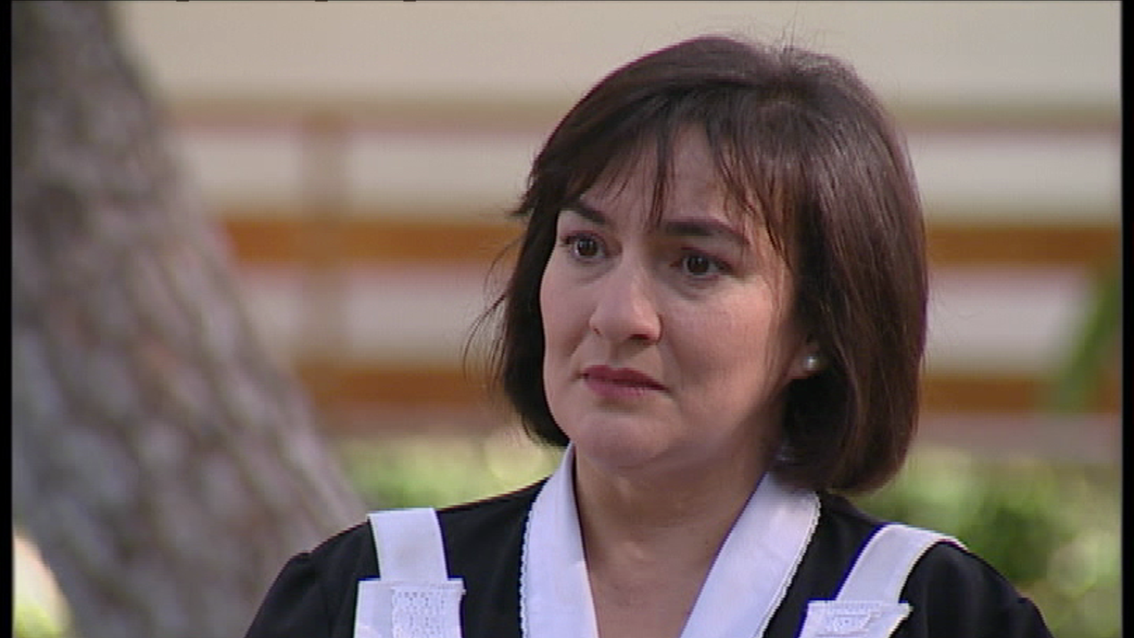 Capítol 97: Les Moreres