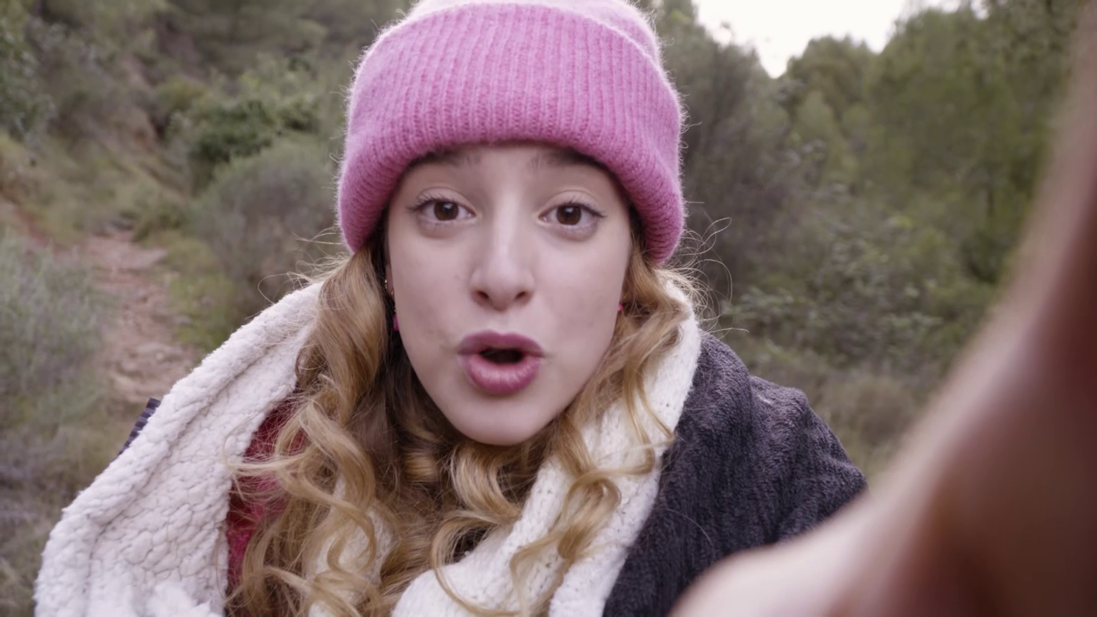 La Colla Animal | Animals gelats