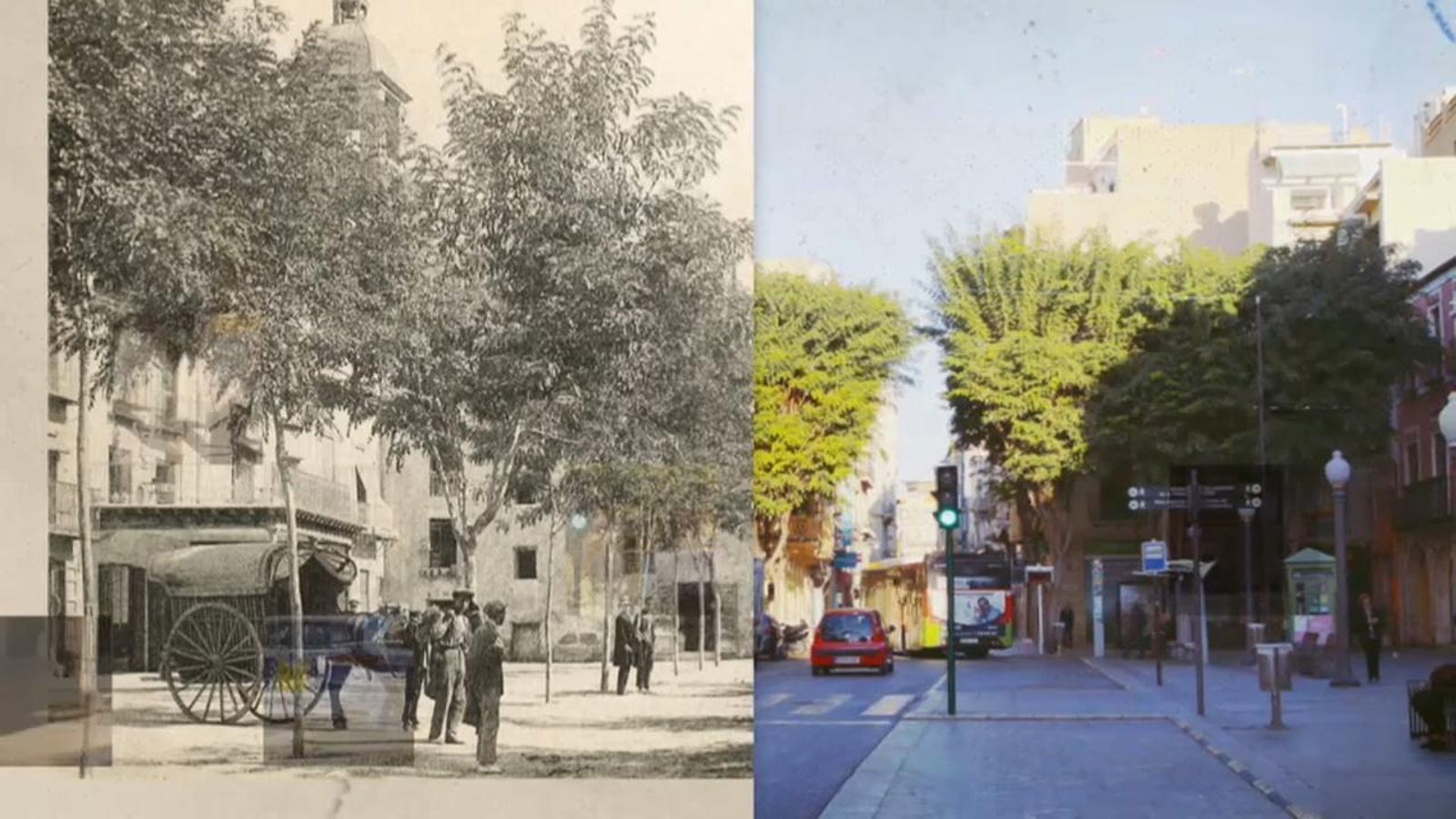 Capítol 12: Elx (part 2)