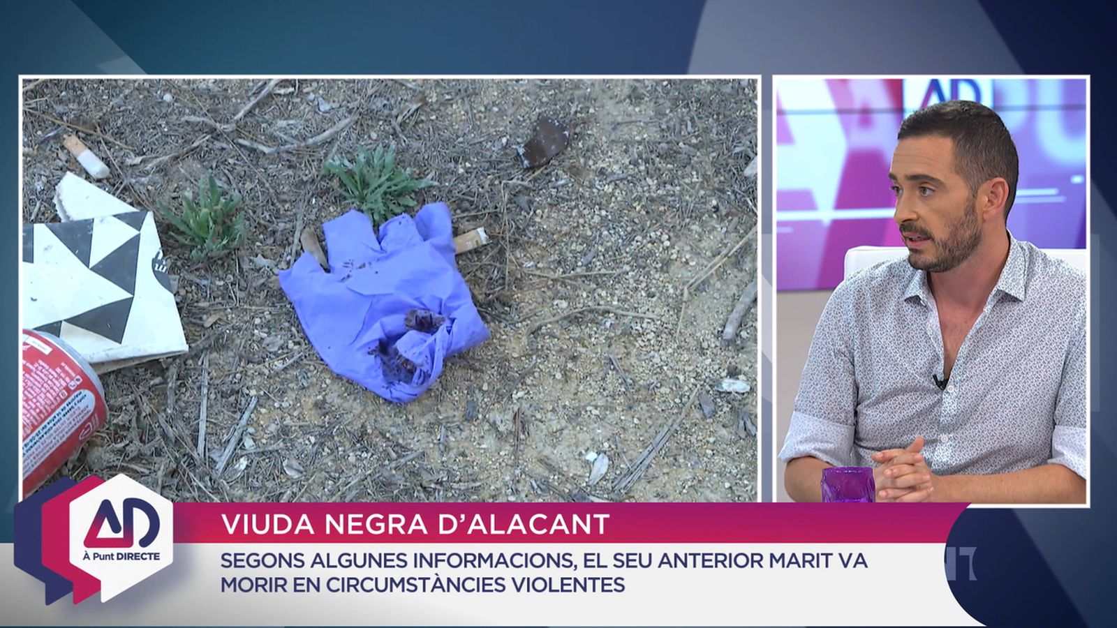 Viuda negra d’Alacant