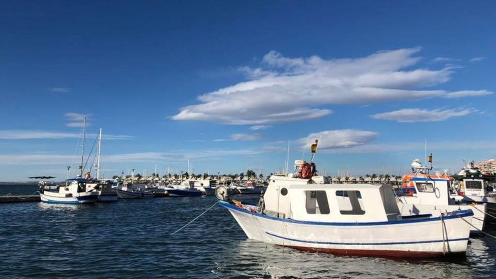 Vaixells d'arrossegament a Santa Pola