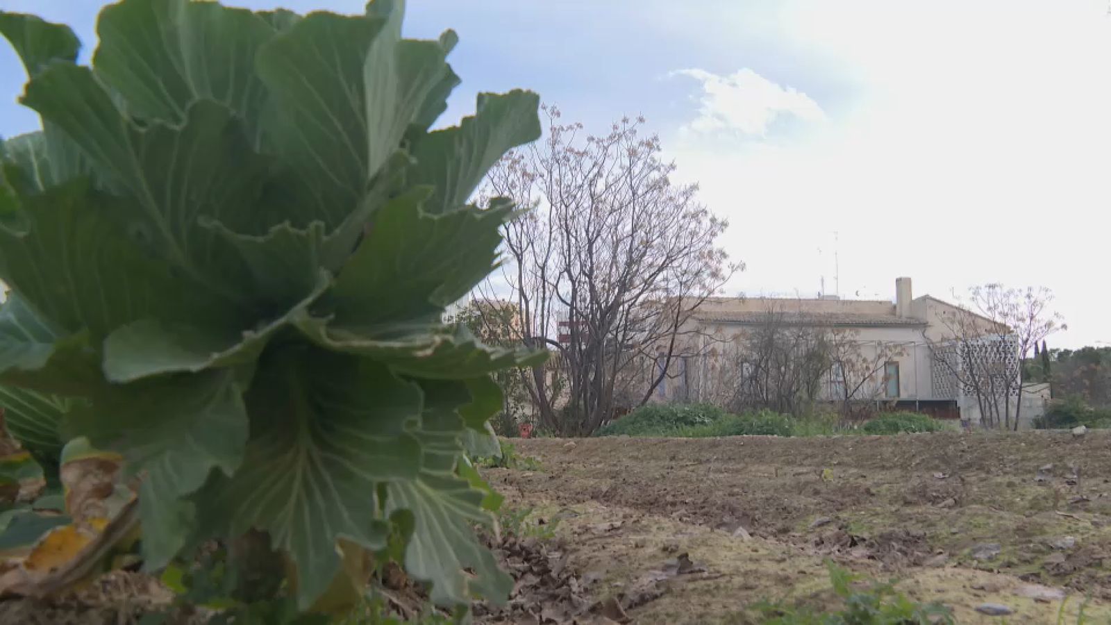 Entrem en una de les alqueries del segle XIV, al barri de Benicalap (València)