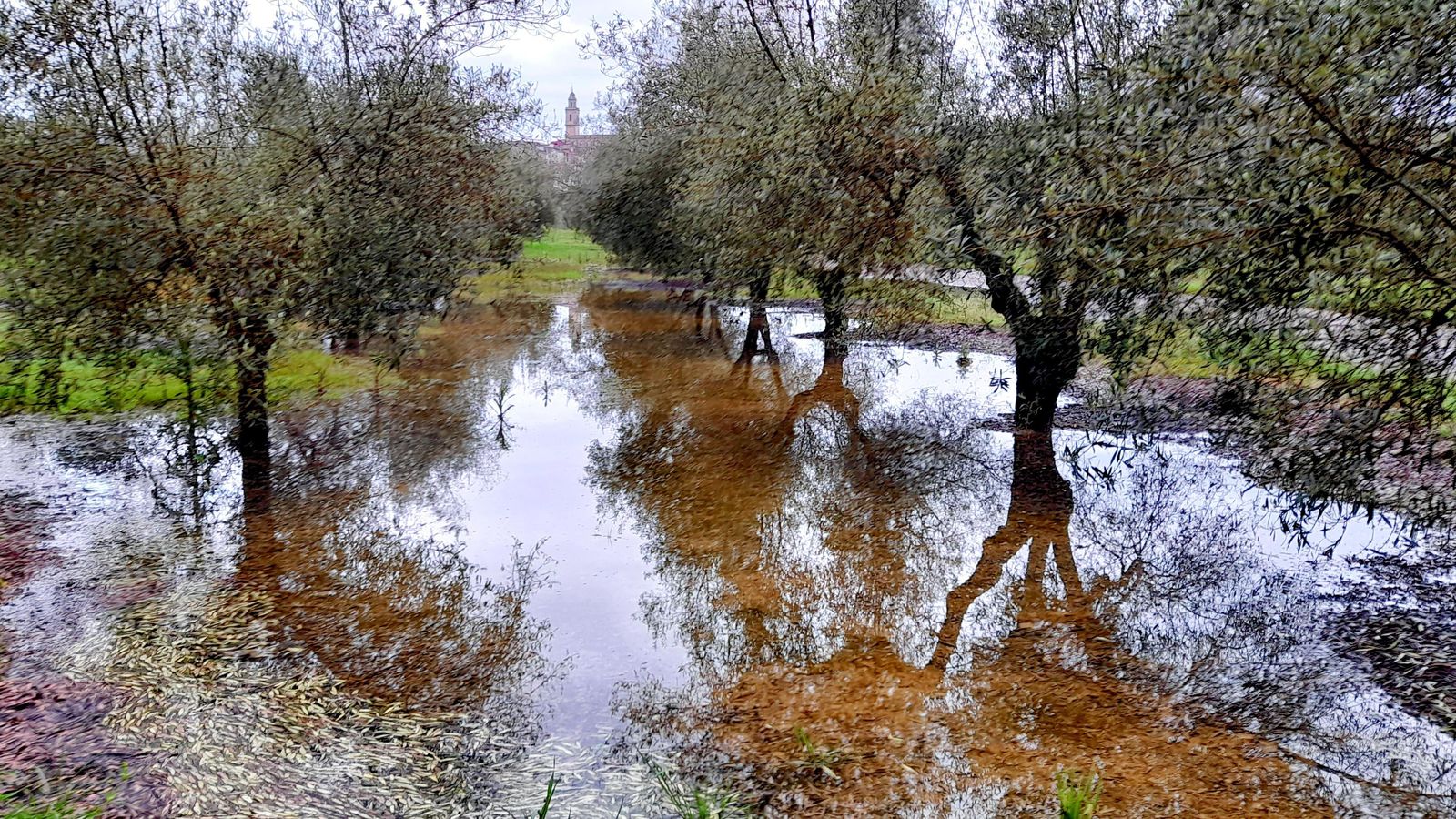 8.BOCAIRENT, LA VALL D'ALBAIDA