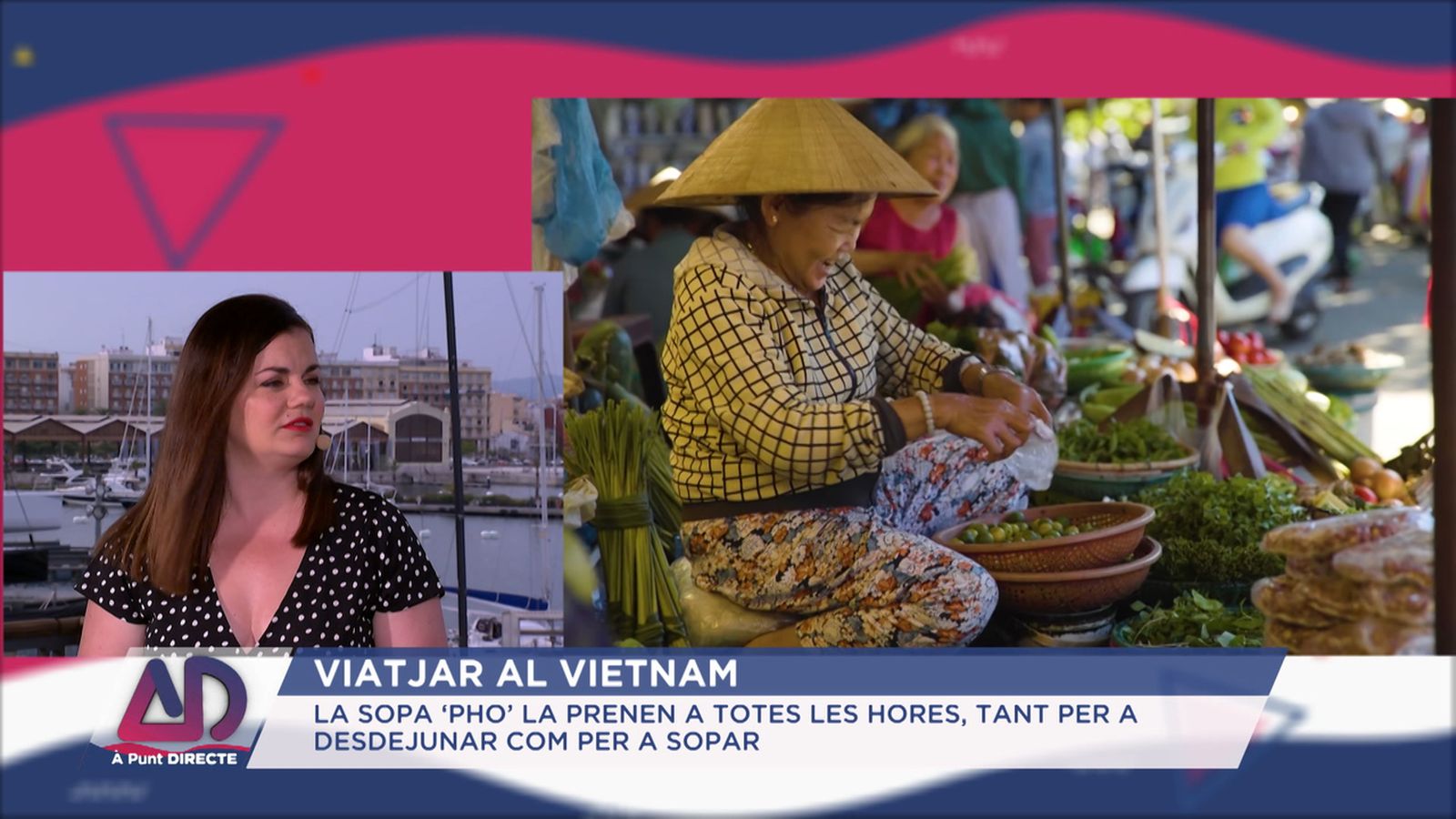 Viatjar al Vietnam