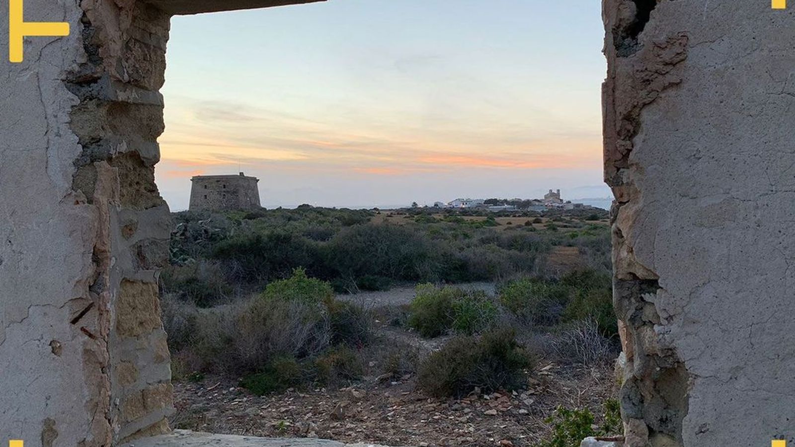 01.03.2019 | Tabarca: aïllats a l'hivern