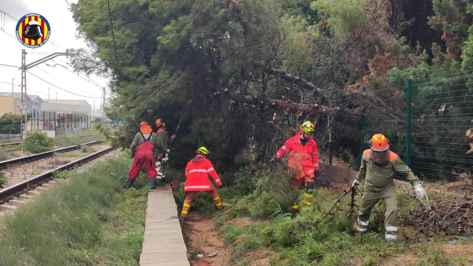A Massanassa, un arbre de grans dimensions ha caigut sobre la catenària de la via