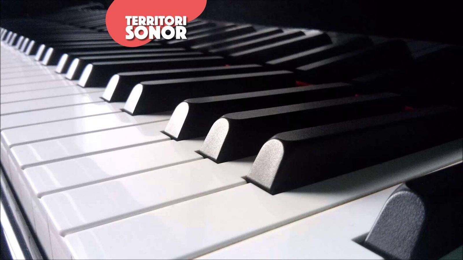 03.11.2024 | La xala de les muses | Les versions de Cate Giorgi