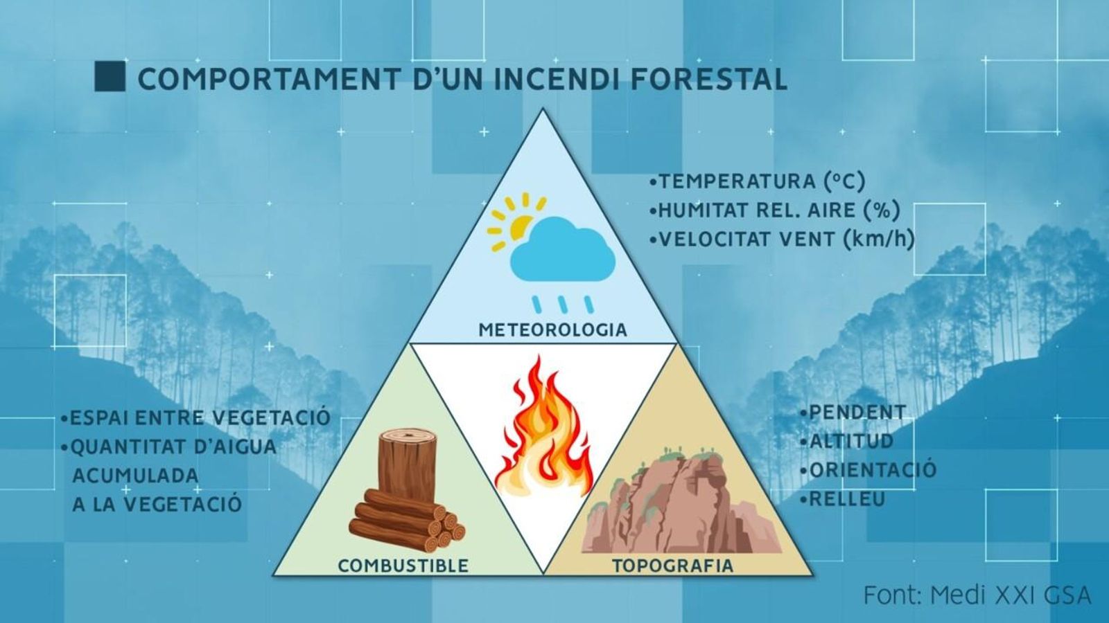 Comportament d'un incendi forestal