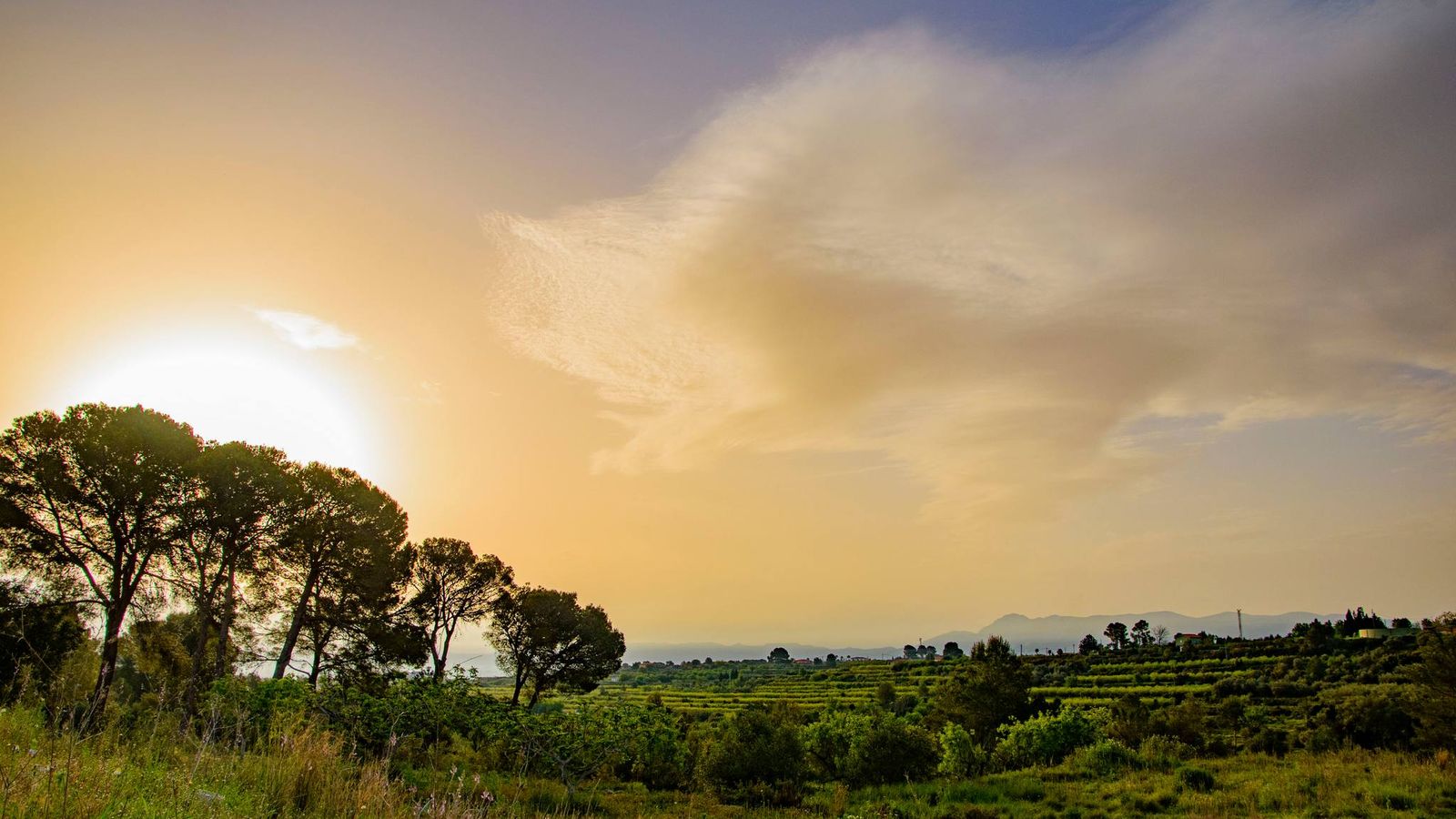 Mª NIEVES SÁNCHEZ, L'Olleria, la Vall d'Albaida
