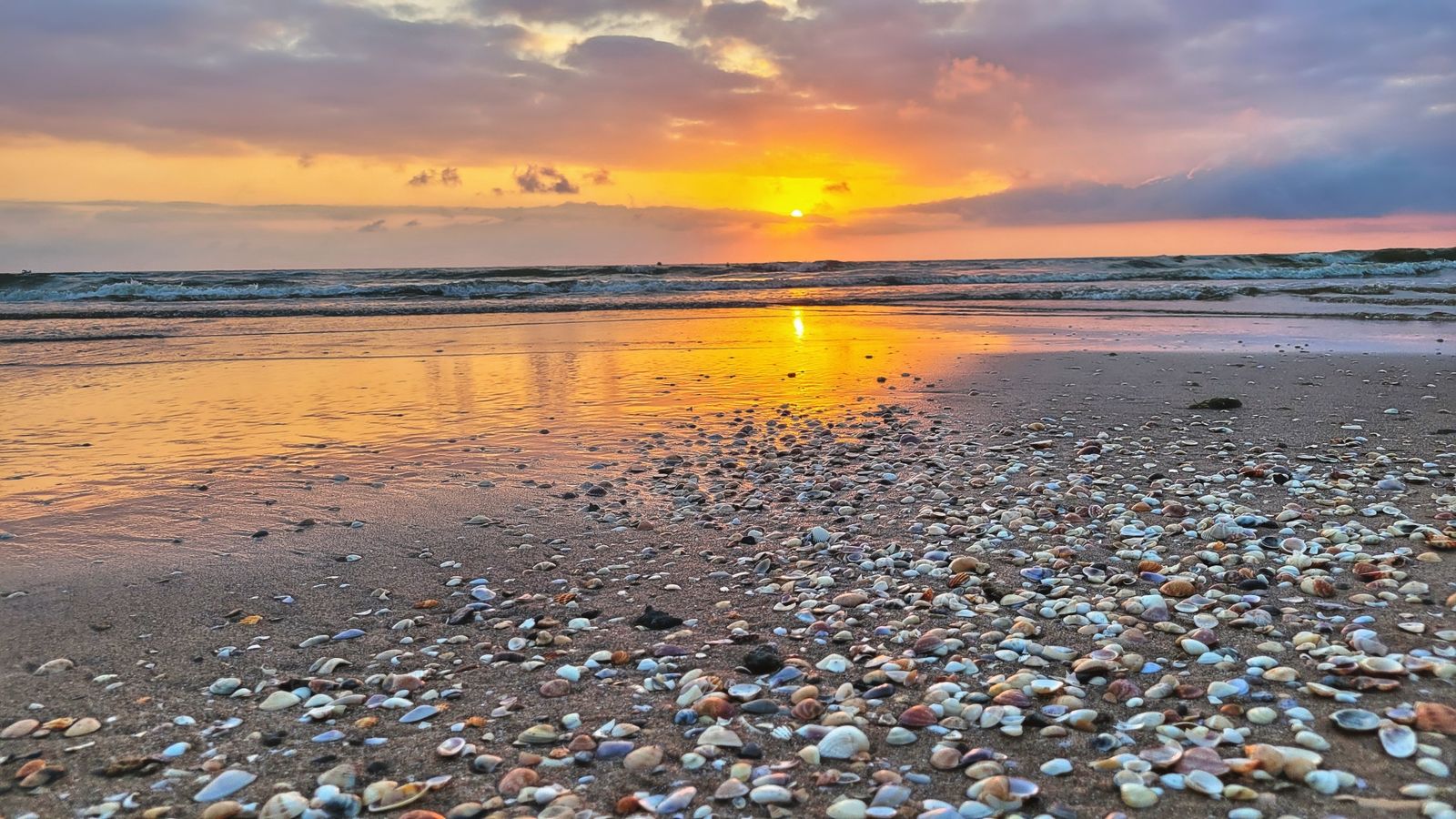 MARENY DE BARRAQUETES, SUECA