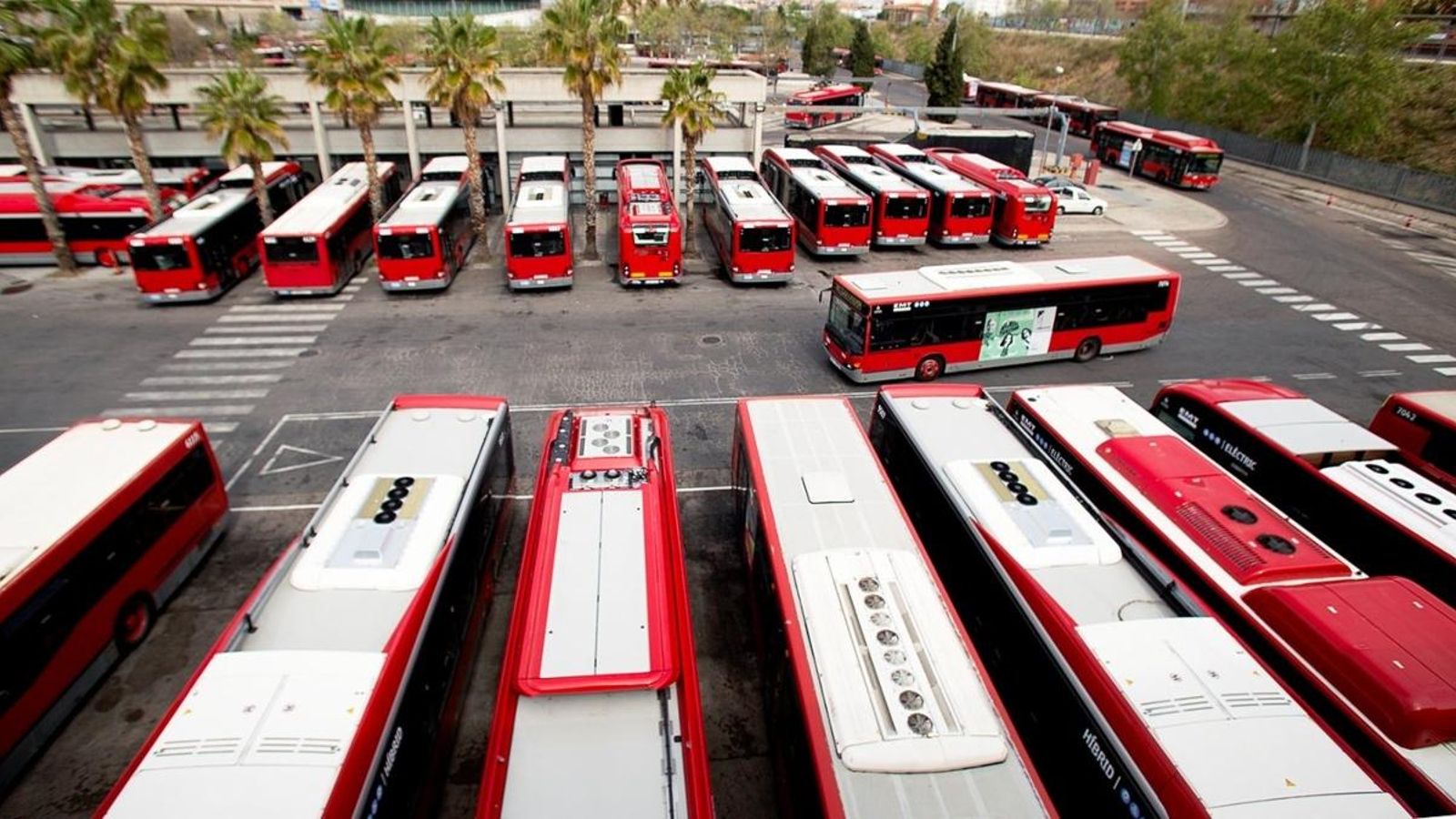 El gerent de l\'EMT nega haver vist els moviments bancaris quan es va produir el frau