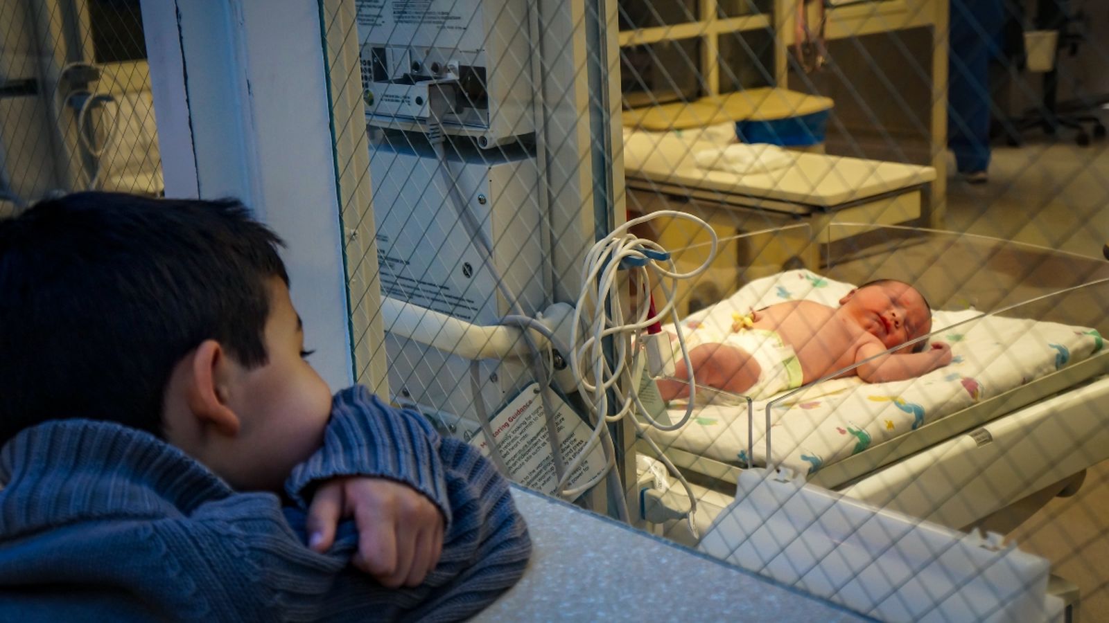 A la Comunitat Valenciana, durant l'any 2019 el saldo vegetatiu va ser negatiu (-6.756 persones)