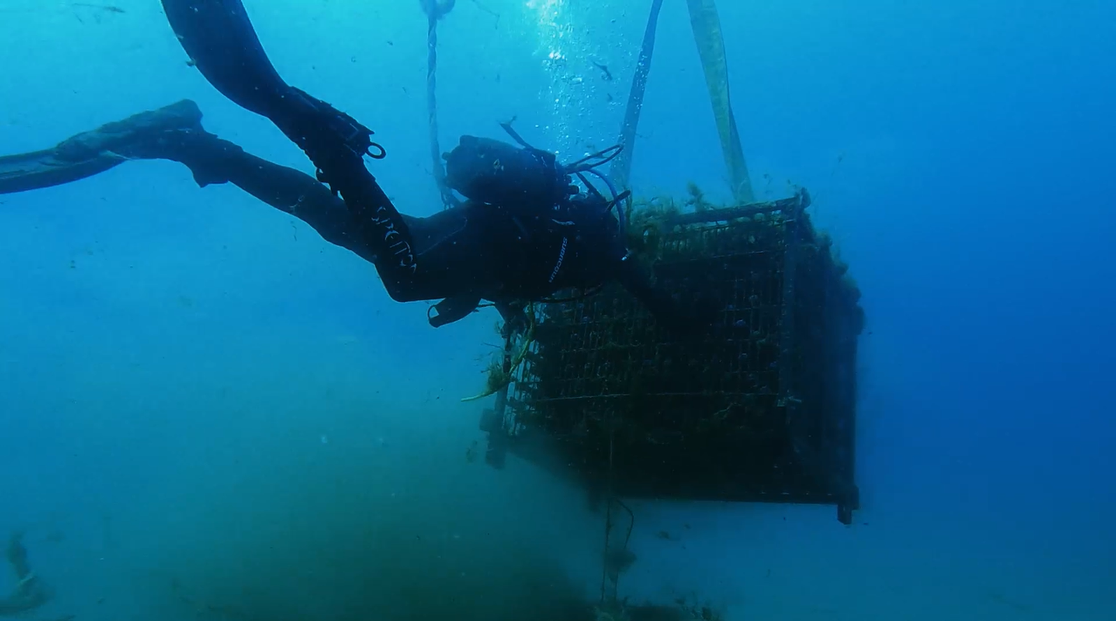 Bodega submarina