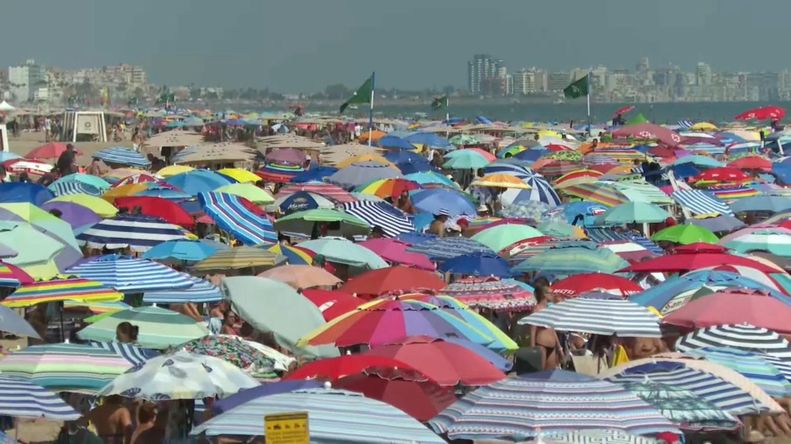 La platja de Gandia, convertida este primer d'agost en un tapís de para-sols