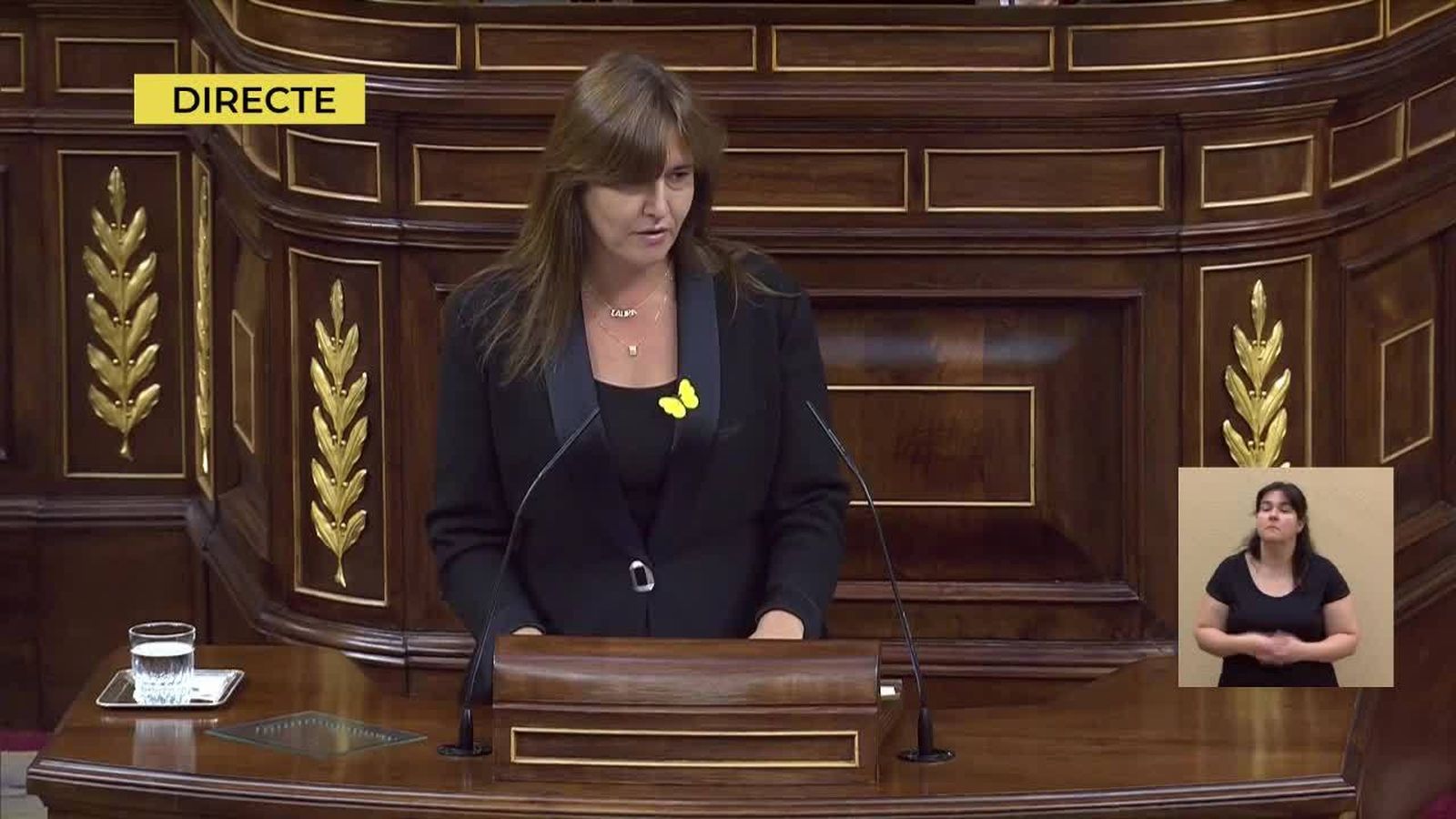23.07.2019 | Intervenció del Grup Mixt en el debat d'investidura de Pedro Sánchez