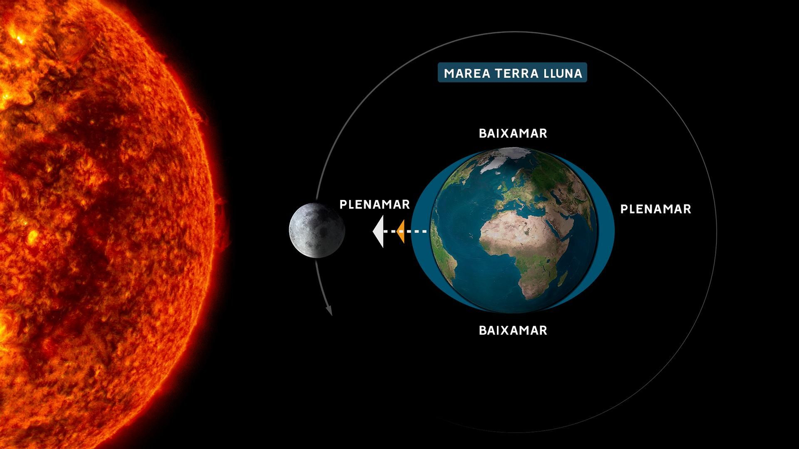 Efecte gravitacional del sistema Terra-Lluna