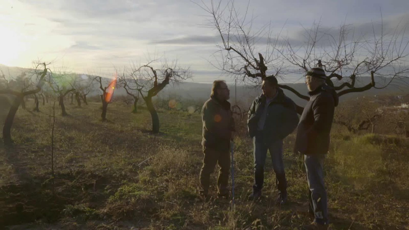 07.10.2019 | L\'Alt Millars