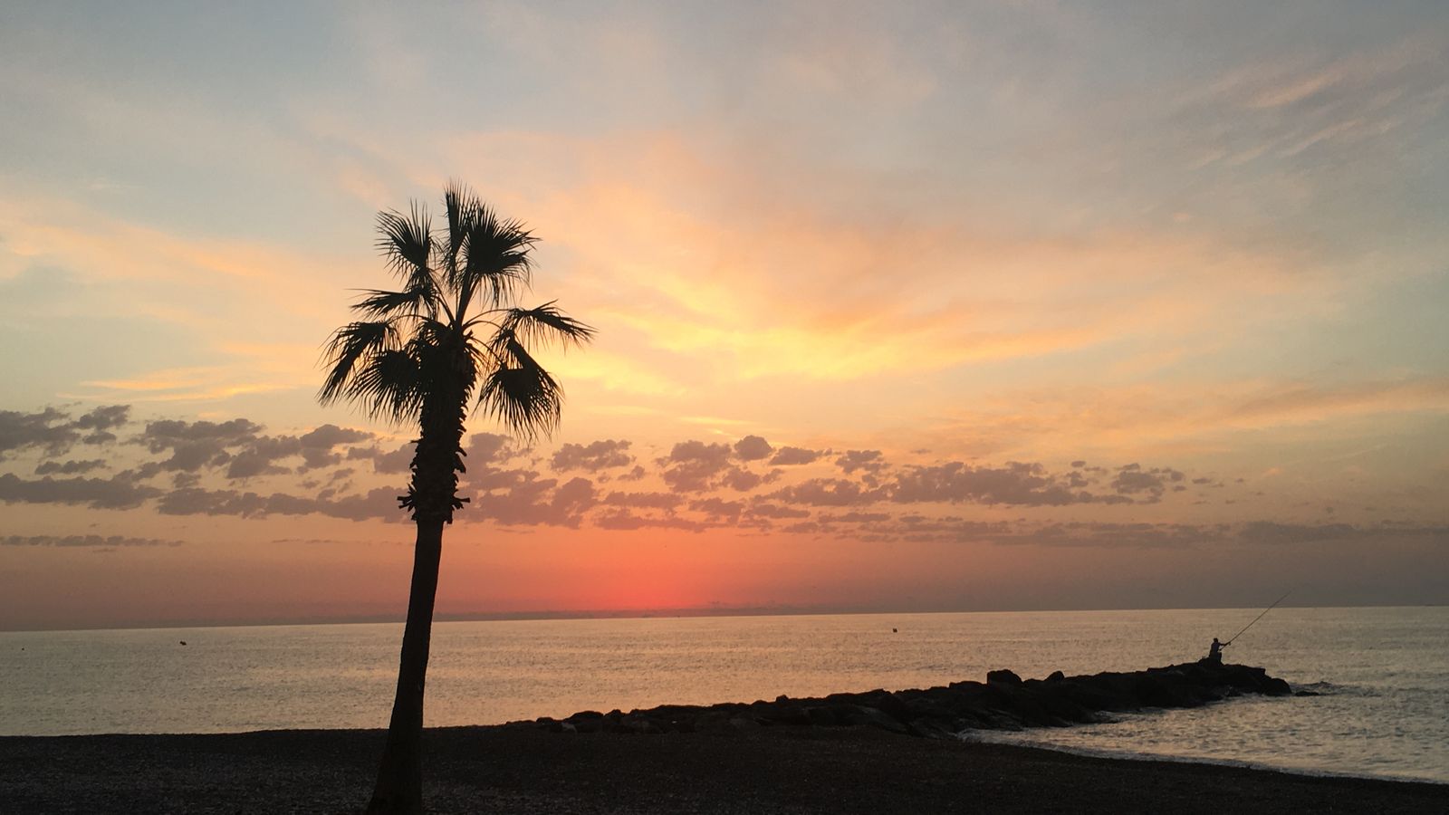 MONCOFA, LA PLANA ALTA