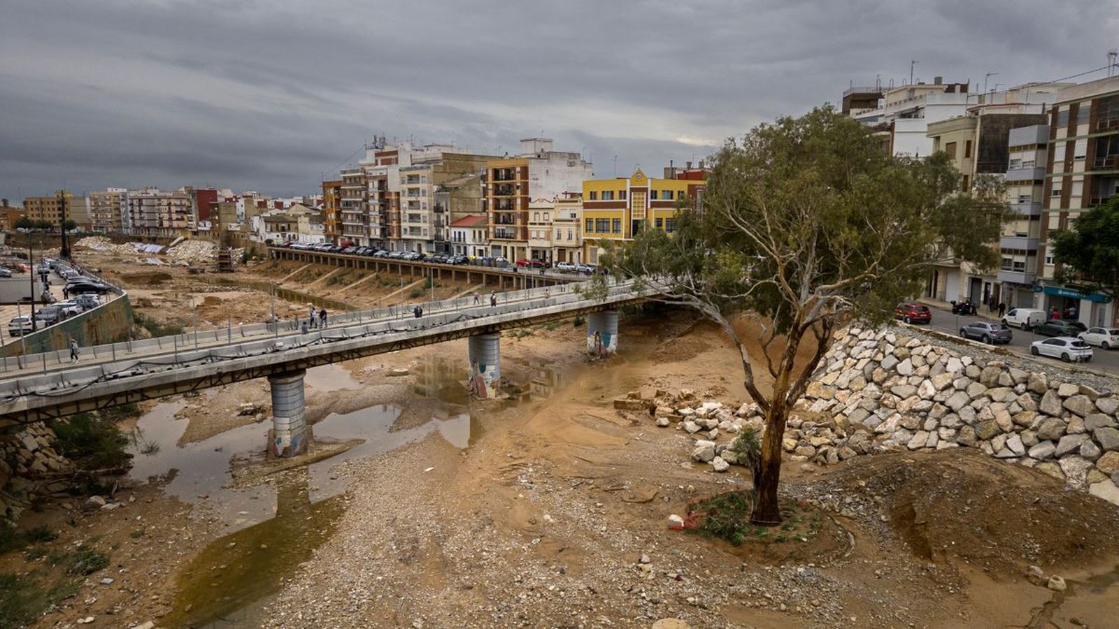 El barranc de Paiporta després de la dana de 2024, amb l'icònic eucaliptus que va resistir la riuada, en una imatge d'arxiu