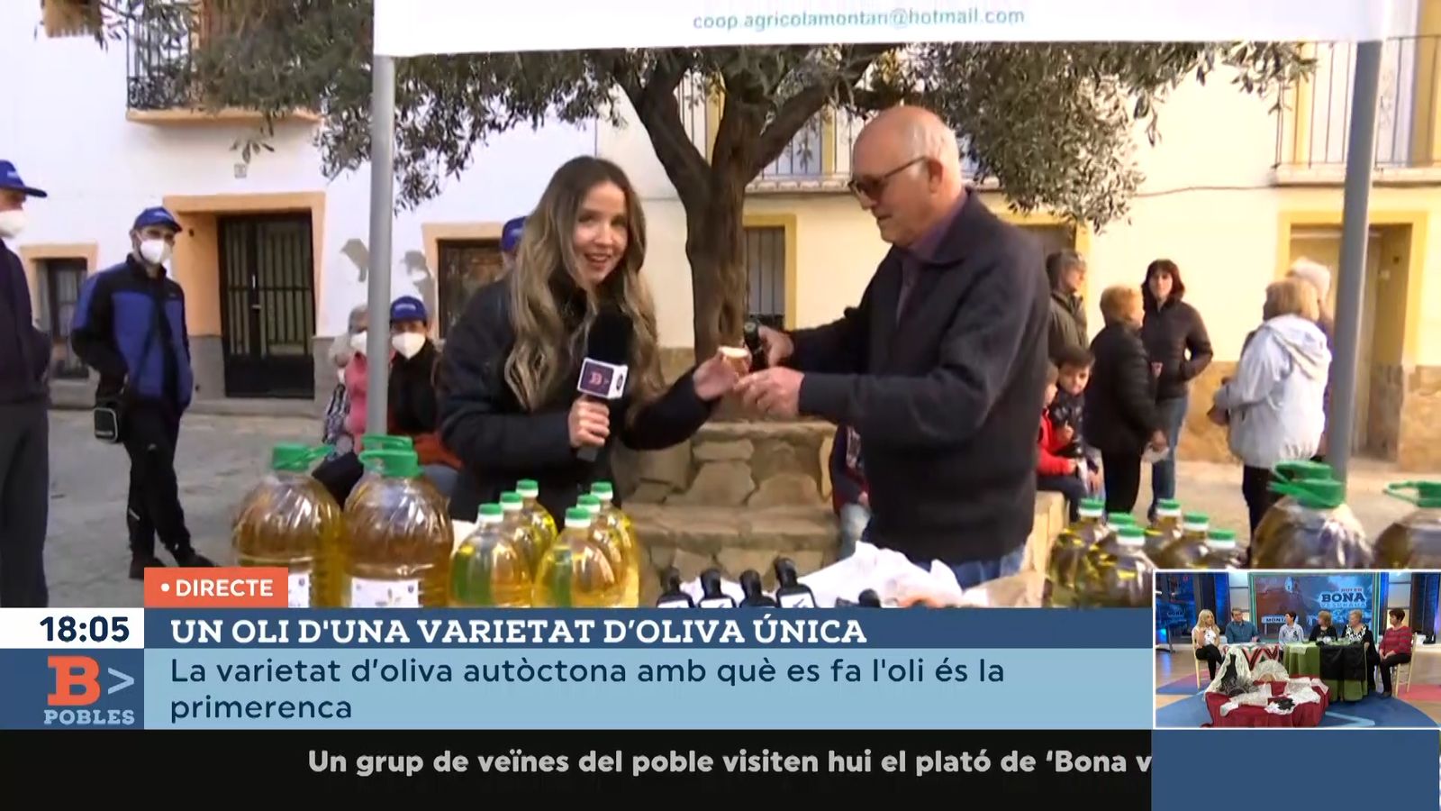 21.04.2022 | Un oli d'una varietat d’oliva única