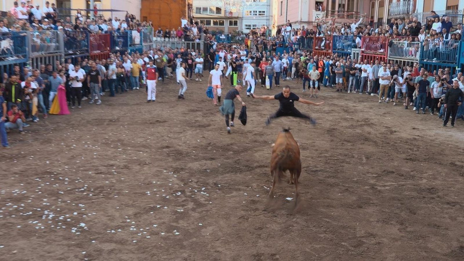 02.11.2025 | La plaça