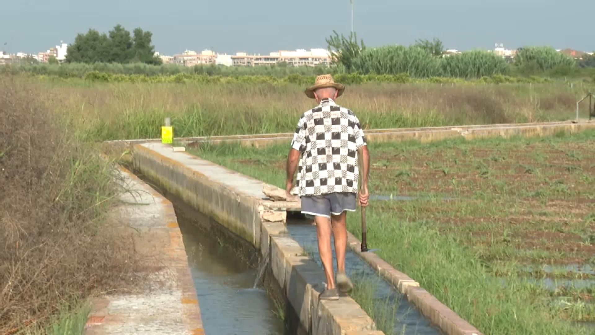 La calor obliga als treballadors del camp a adaptar-se