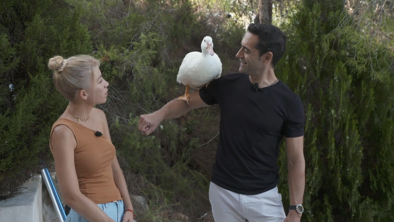 13.12.2025 | Amor animal