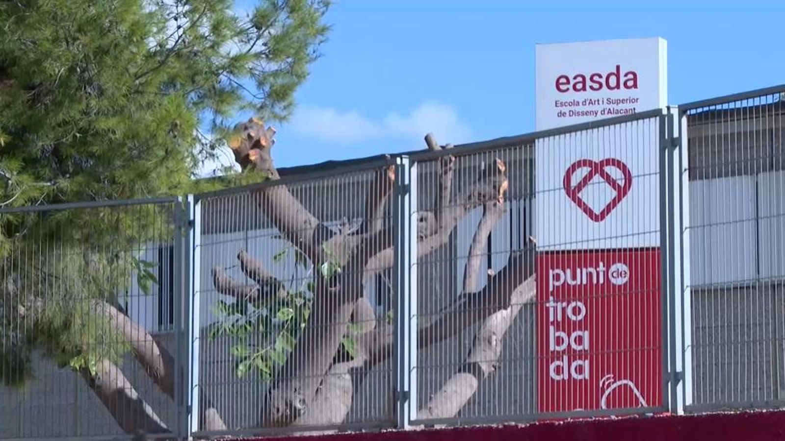 L’Escola d’Art i Disseny d’Alacant fa tres setmanes que està tancada per una plaga de puces