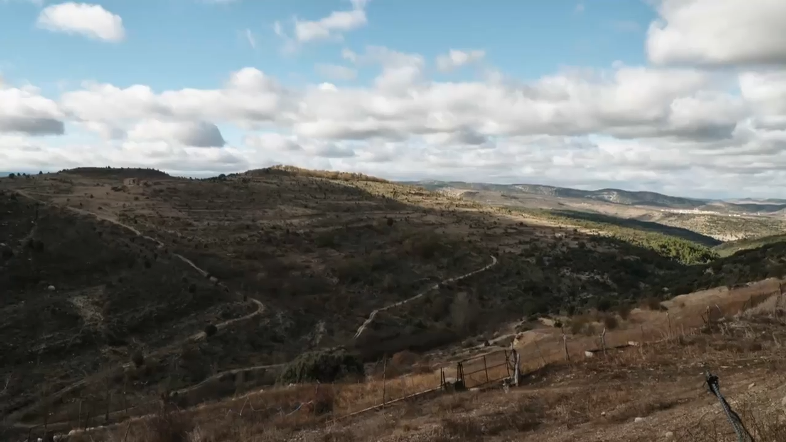 De mar i bancal | Taronges viatgeres