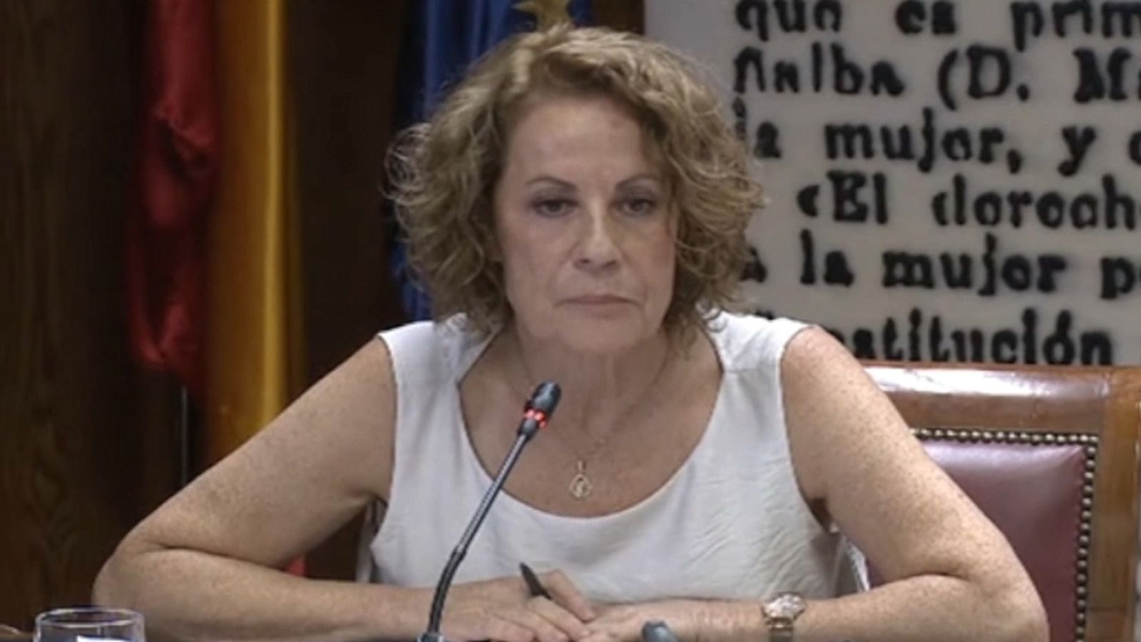 L'exdirectora de l'entitat diu que "mai" va rebre pressió del Govern i ha desvinculat el seu cessament de la investigació judicial a l'ex president