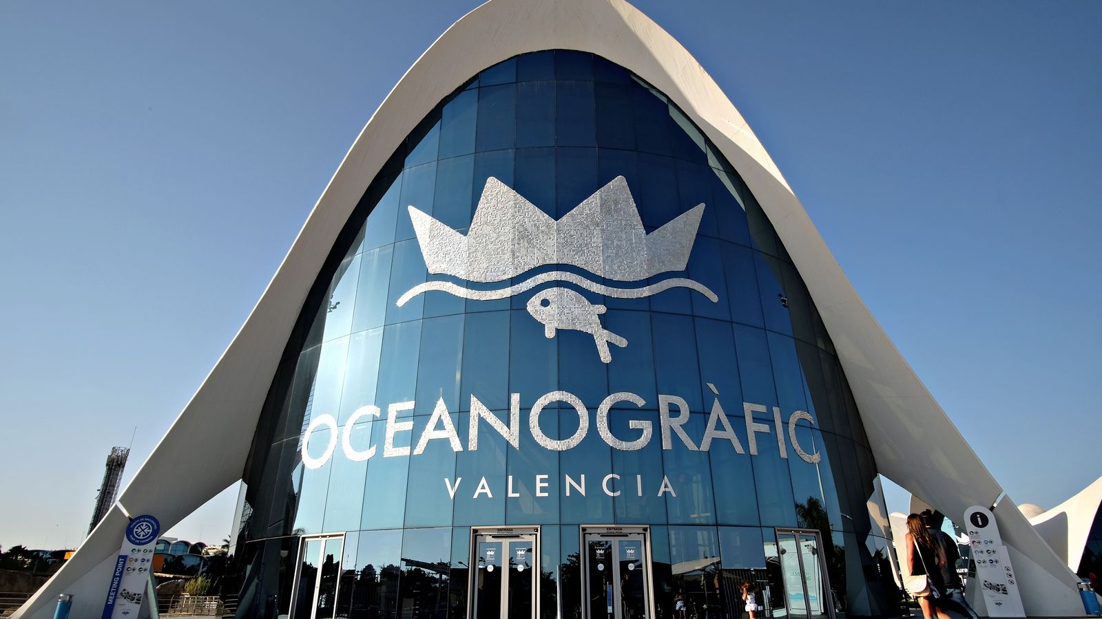 25.05.2023 | L'Oceanogràfic de València celebra l'Ocean Festival per a promoure la cultura marina i el turisme sostenible
