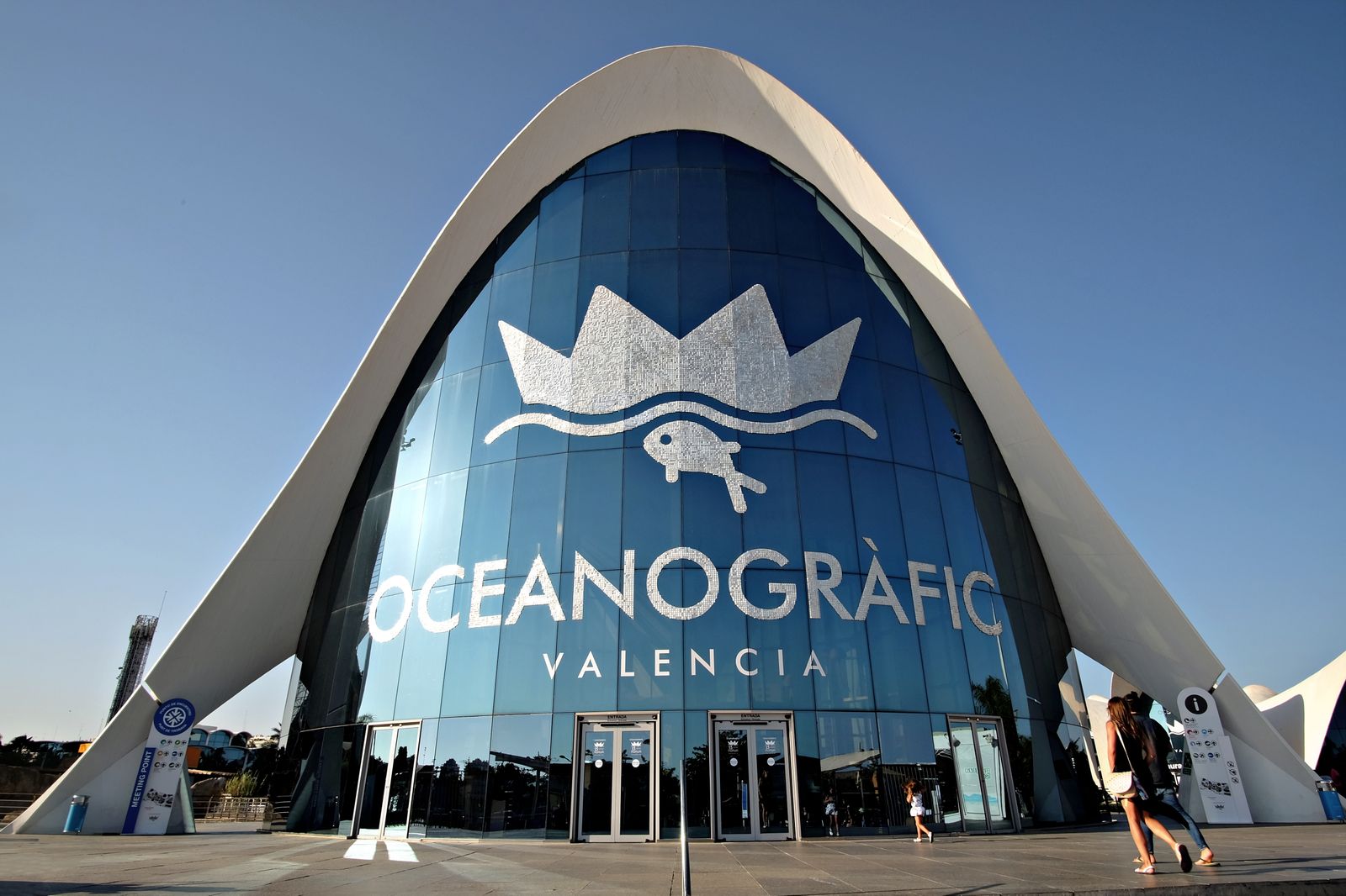 25.05.2023 | L'Oceanogràfic de València celebra l'Ocean Festival per a promoure la cultura marina i el turisme sostenible