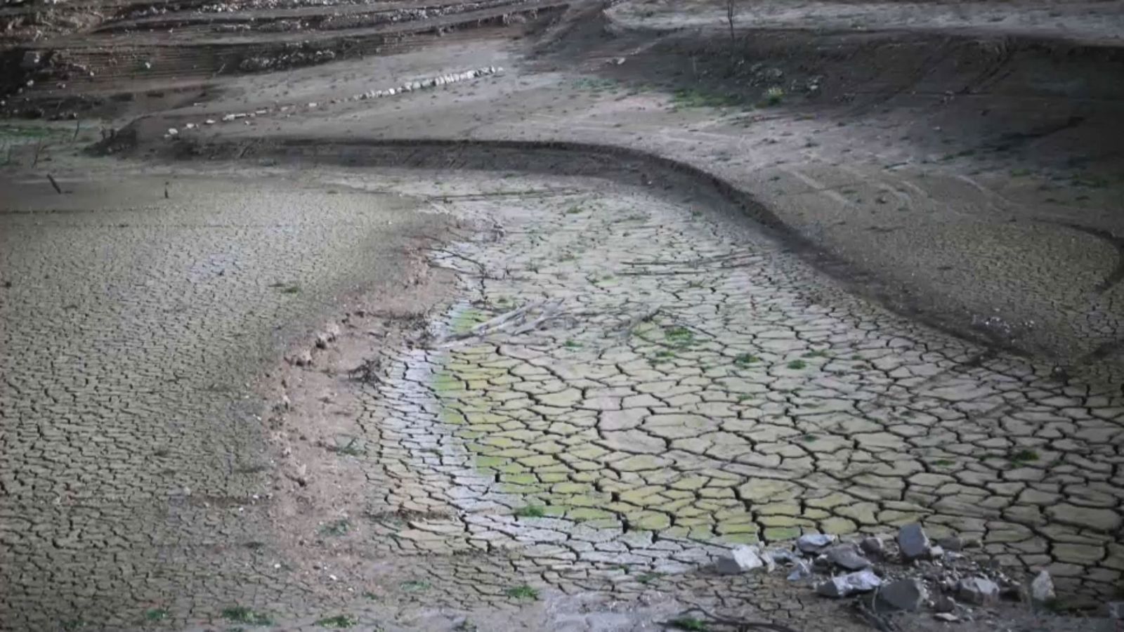 La sequera afecta l'agricultura i ramaderia valenciana