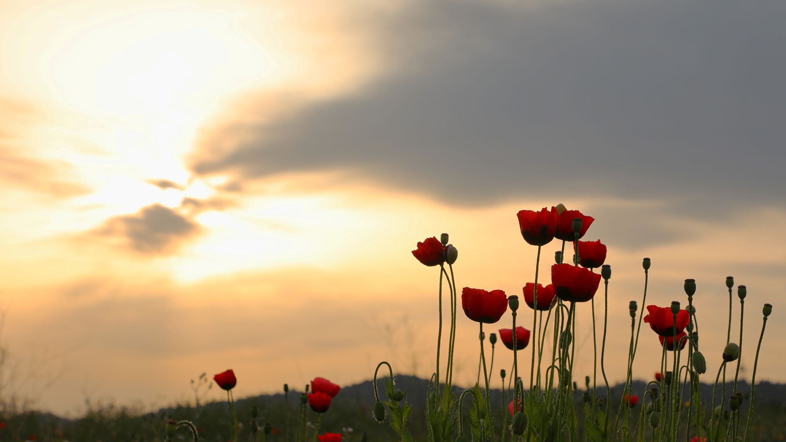 La Vall d'Uixó, la Plana Baixa
