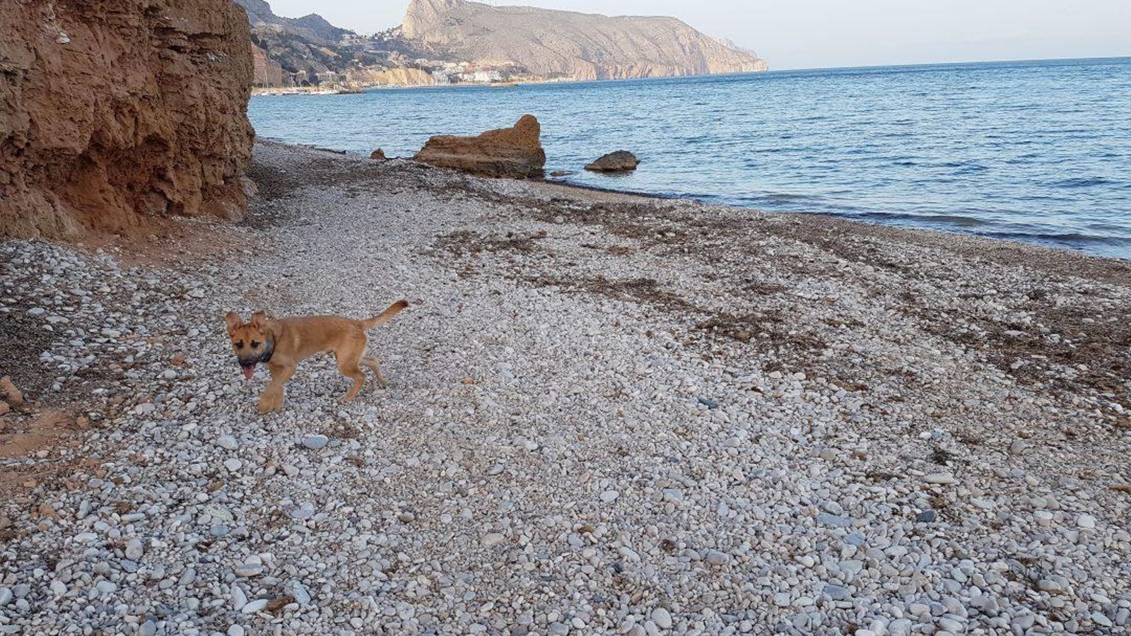 Platja de l’Olla, a Altea