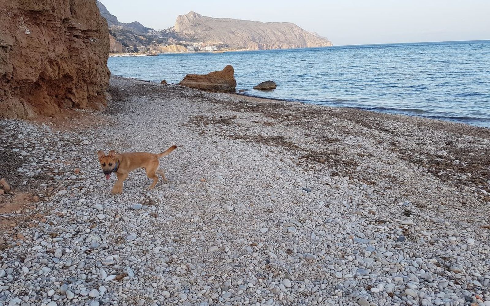 Platja de l’Olla, a Altea