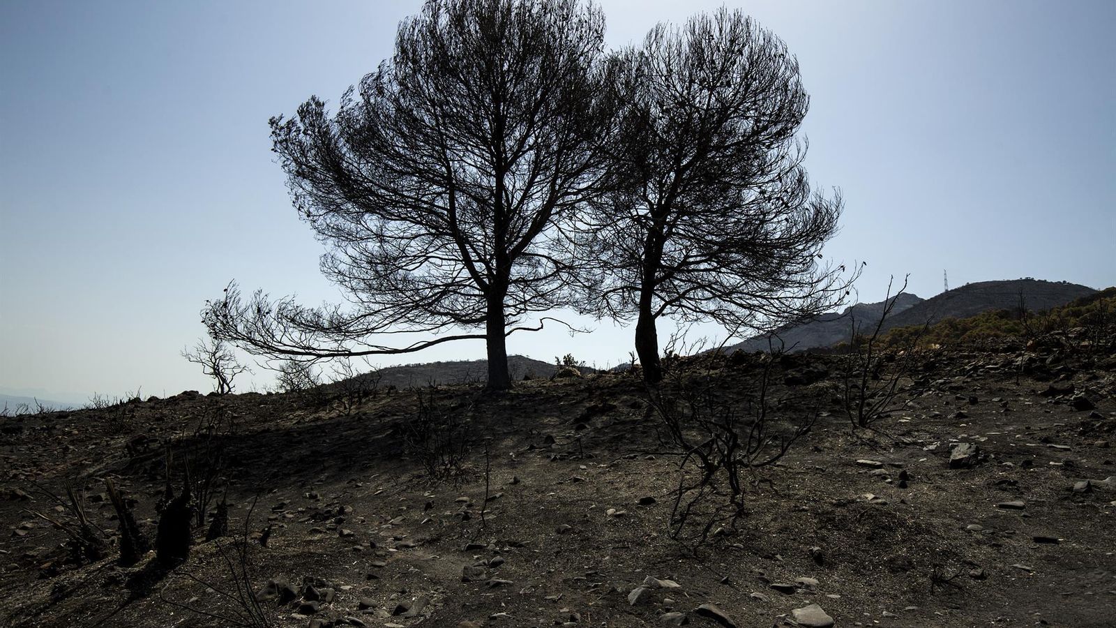 Zona cremada a la localitat d'Alhaurín el Grande