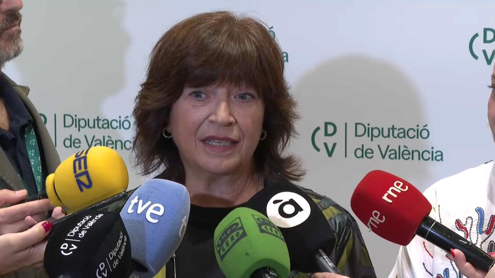 La presidenta de l'AVL Verònica Cantó a la Diputació de València