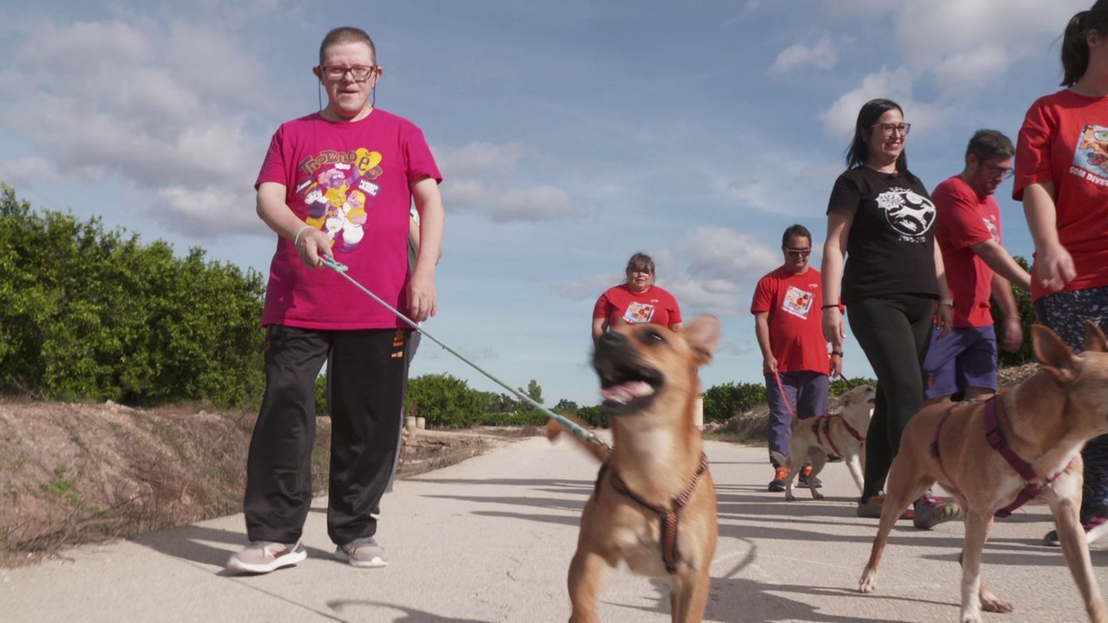 24.01.2026 | Benefici mutu