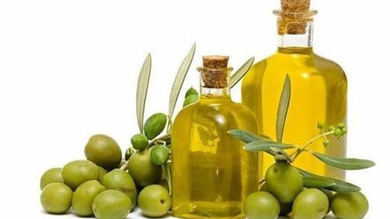 05.02.2019 | La campanya d'oli, una de les pitjors dels últims anys