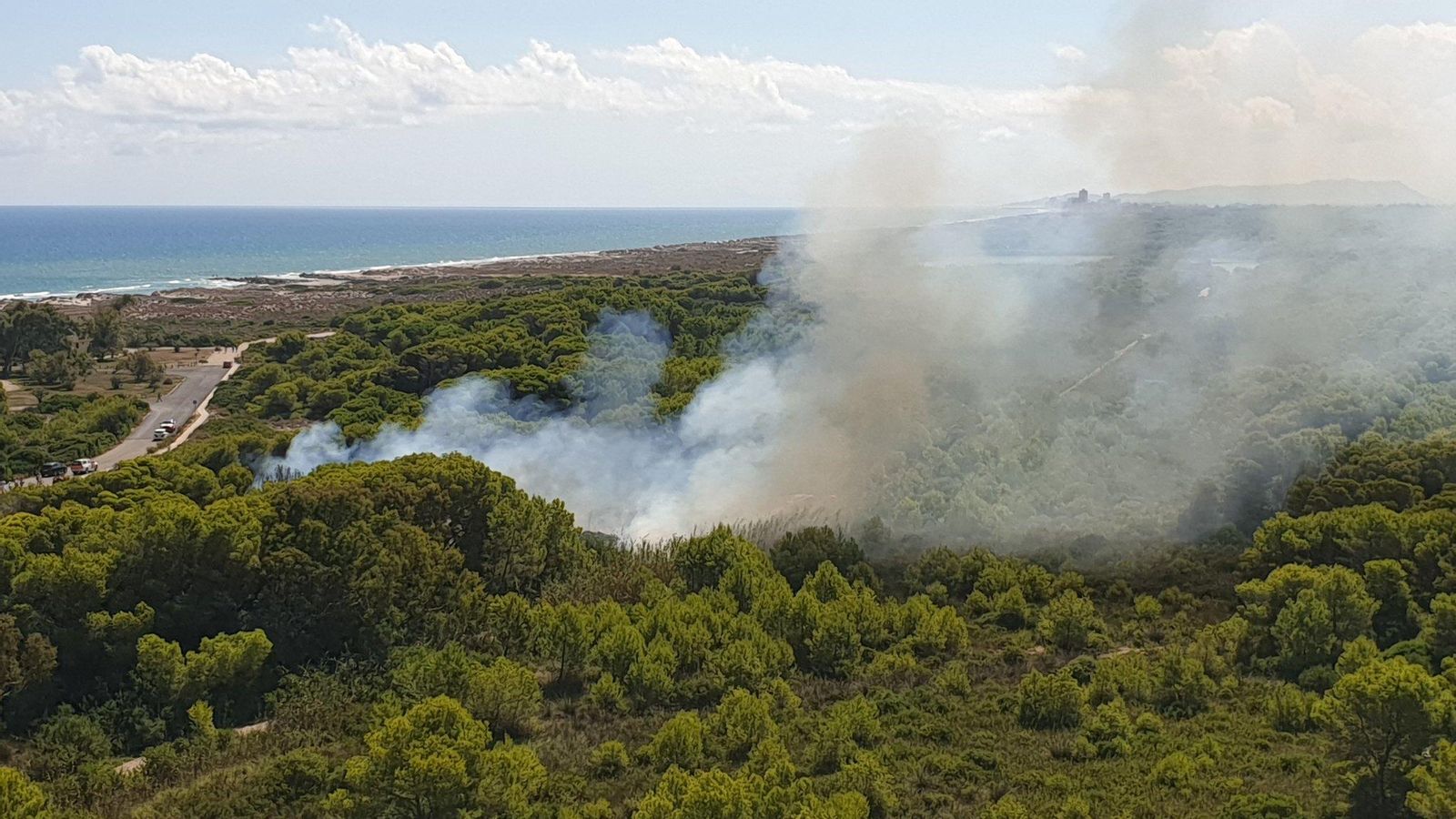 Incendi a la Devesa del Saler