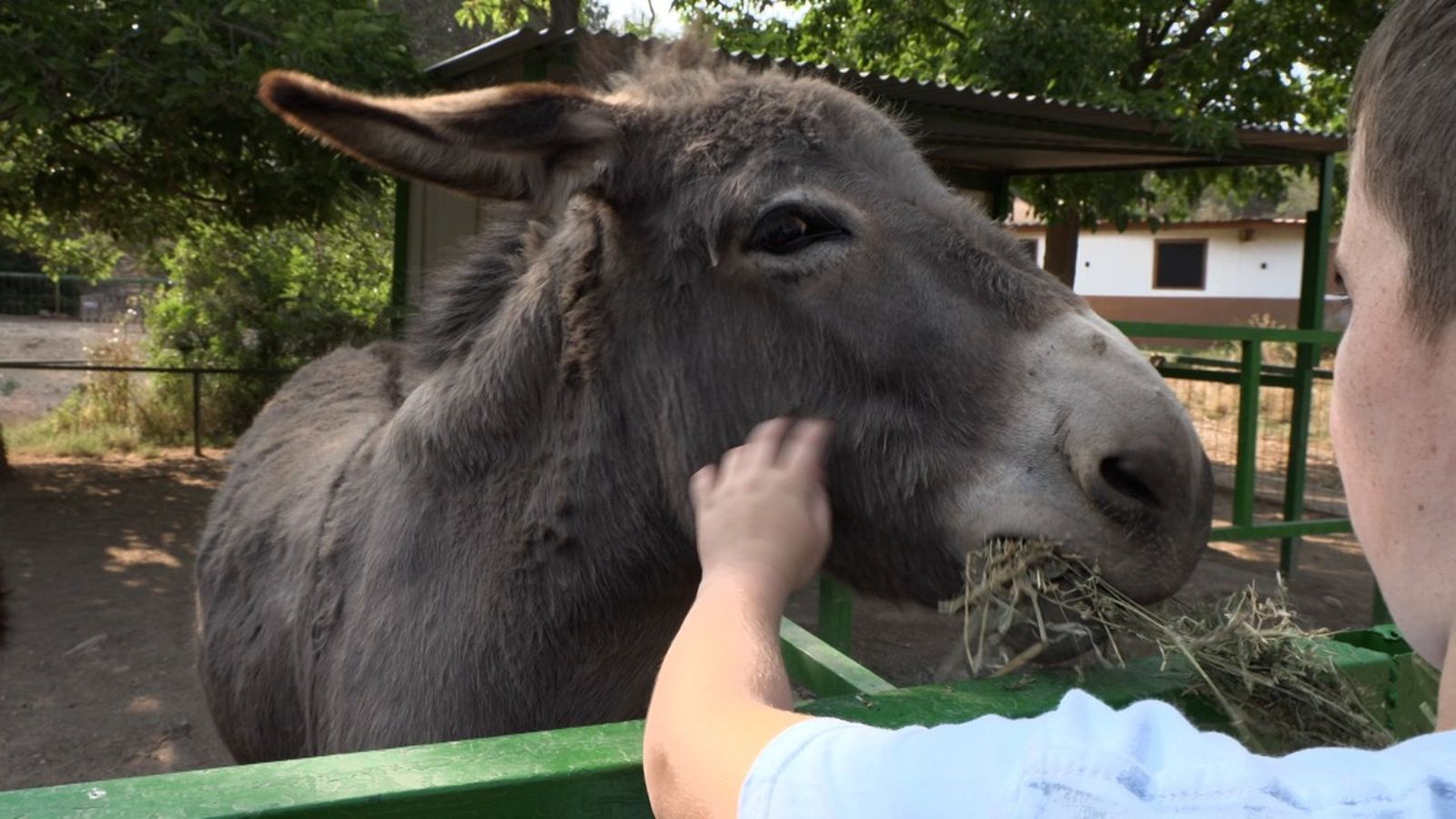 12.09.2026 | Bo per a animals, bo per a humans