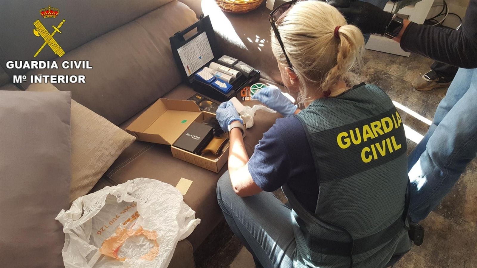 La Guàrdia Civil ha desmantellat un cultiu amb 1.950 plantes en un domicili de Torrent