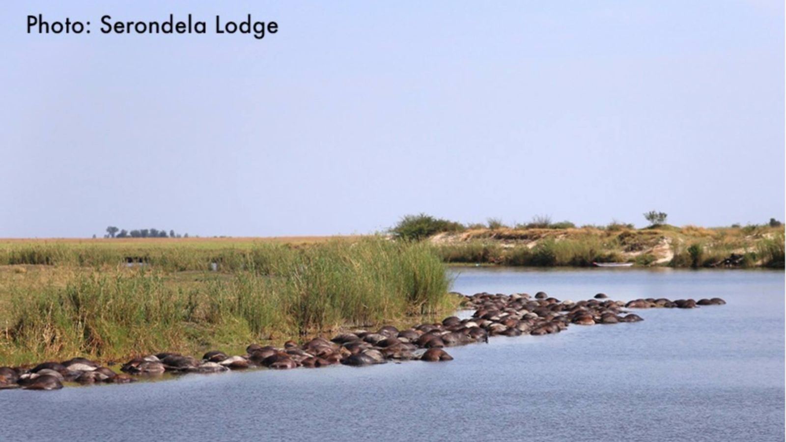 Fotografia cedida per Serondela Lodge