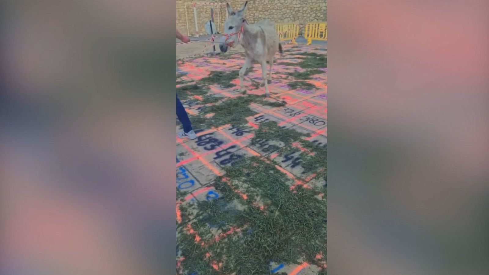 Polémica rifa de la cagà de la burra