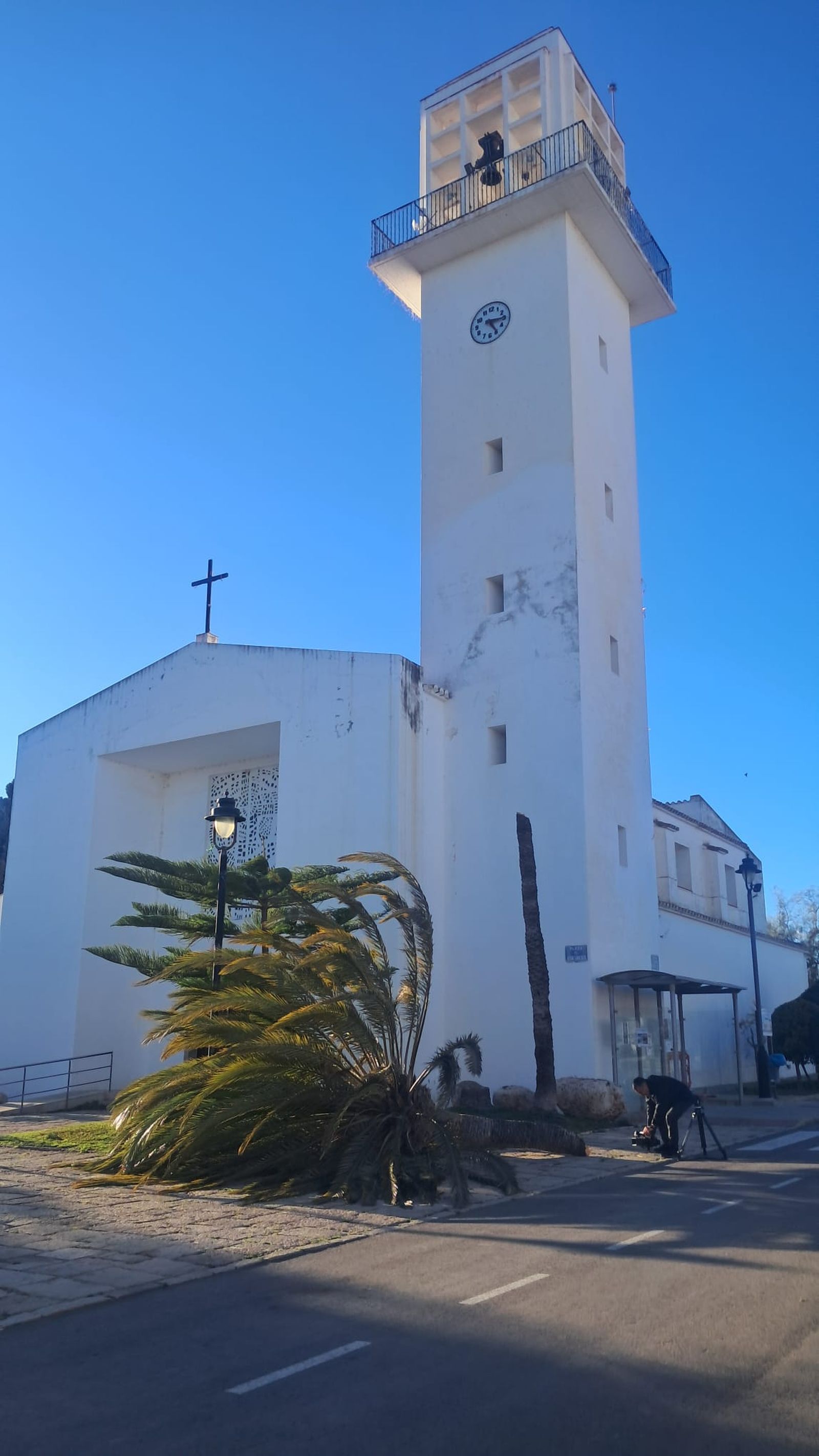 Una palmera partida en dos davant de l'església de Marines (Camp de Túria) a causa de les fortes ratxes de vent d'este dissabte associades a la borrasca Oriana